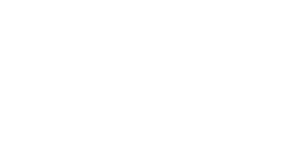 Viaan Group